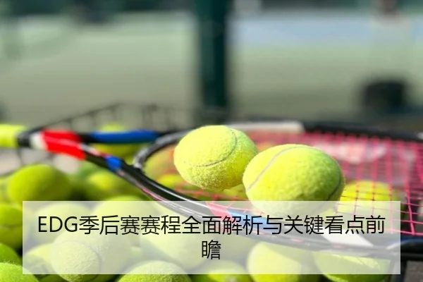 EDG季后赛赛程全面解析与关键看点前瞻