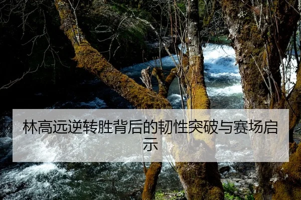 林高远逆转胜背后的韧性突破与赛场启示