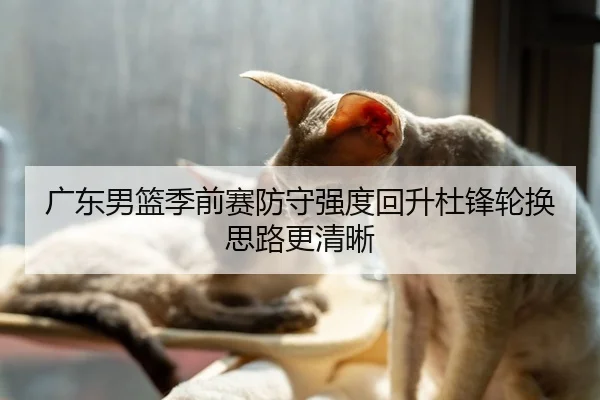 广东男篮季前赛防守强度回升杜锋轮换思路更清晰